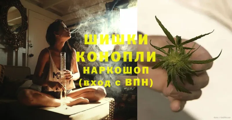 Шишки марихуана марихуана  Кудрово 